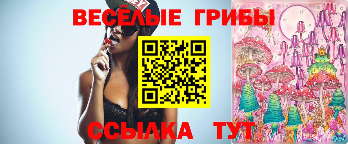 Галлюциногенные грибы Psilocybine cubensis  Вход с VPN  Галлюциногенные грибы мицелий  Киселёвск 