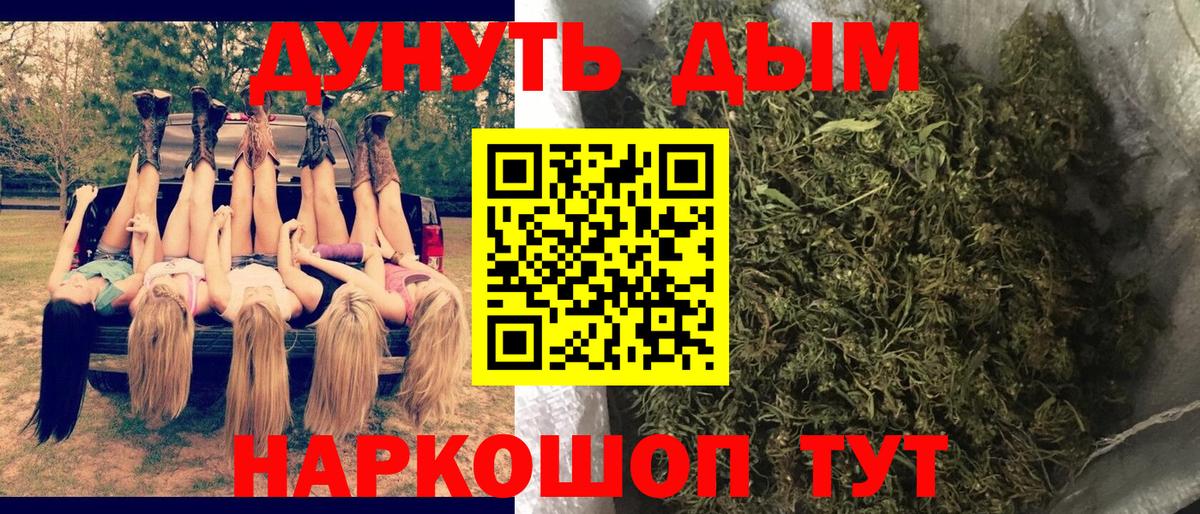 Канабис планчик Киселёвск